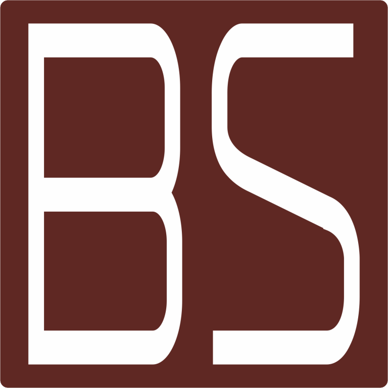 Logo Baebeca Solutions, Bildmarke BS